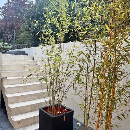 Exclusive Basement With Terrace Krefeld