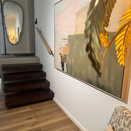 Exclusive Basement With Terrace