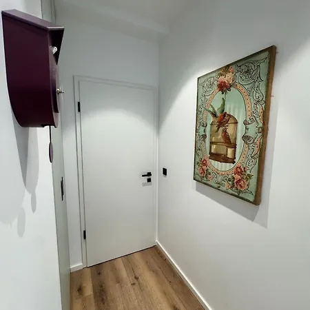 Exclusive Basement With Terrace Appartamento *