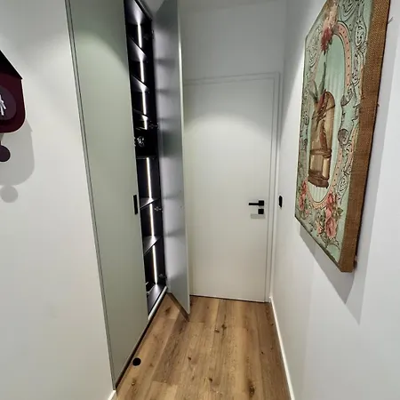 Exclusive Basement With Terrace