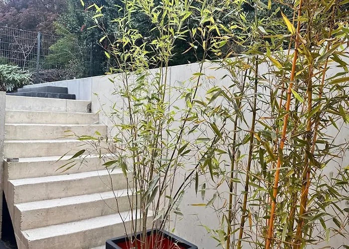 Exclusive Basement With Terrace Krefeld